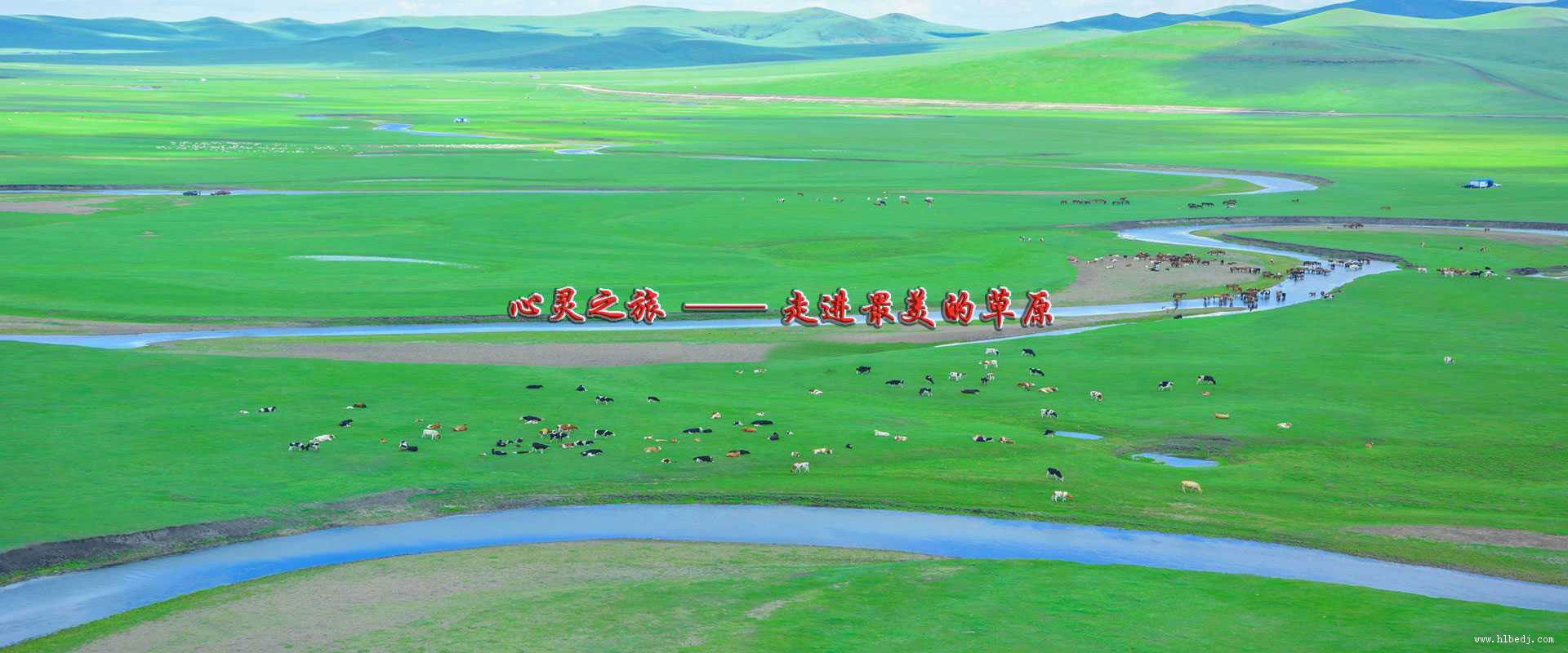 呼倫貝爾多(duō)嬌旅行社，精(jīng)挑細選每一條旅遊線(xiàn)路，自由行,自助遊,深度遊,自駕遊,跟團遊,讓您深度體(tǐ)驗呼倫貝爾大草(cǎo)原,歡迎光臨咨詢！